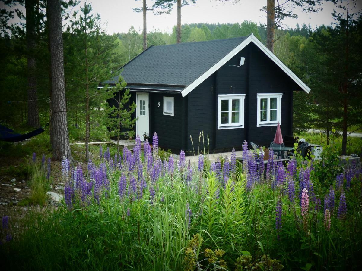 Froeya Timber Cottage Arvika Ngoại thất bức ảnh